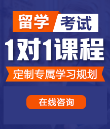 流水了慢点操好疼留学考试一对一精品课